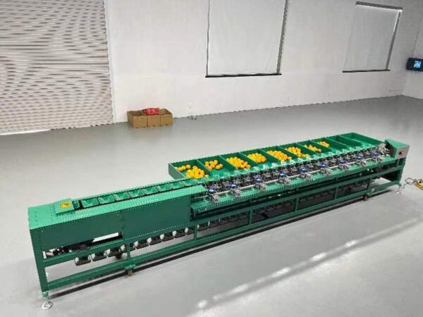 牛油果重量选果机 - Imagen 2