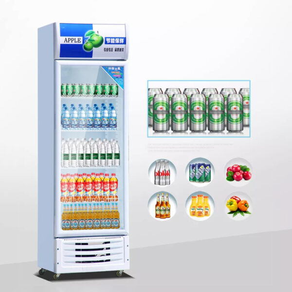商用立式饮料冰箱展示柜冷柜冷却器双玻璃门 - Imagen 4