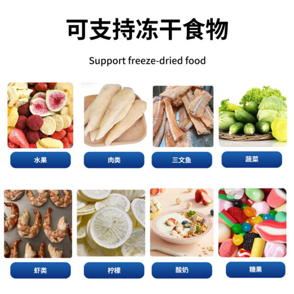 冻干机真空冷冻干燥机食物水果素菜冻干机科研宠物商用冻干机 - Imagen 2